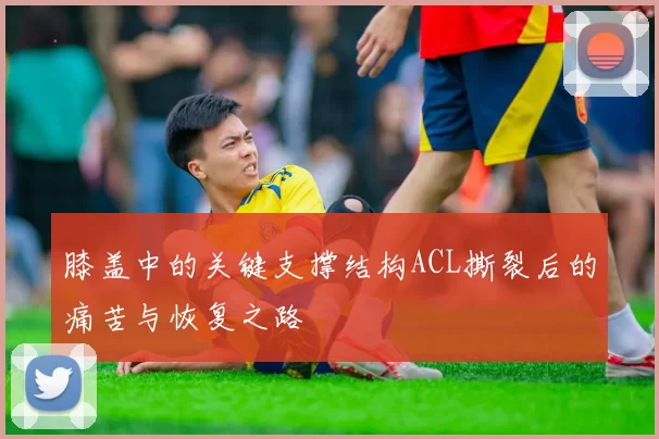 膝盖中的关键支撑结构ACL撕裂后的痛苦与恢复之路